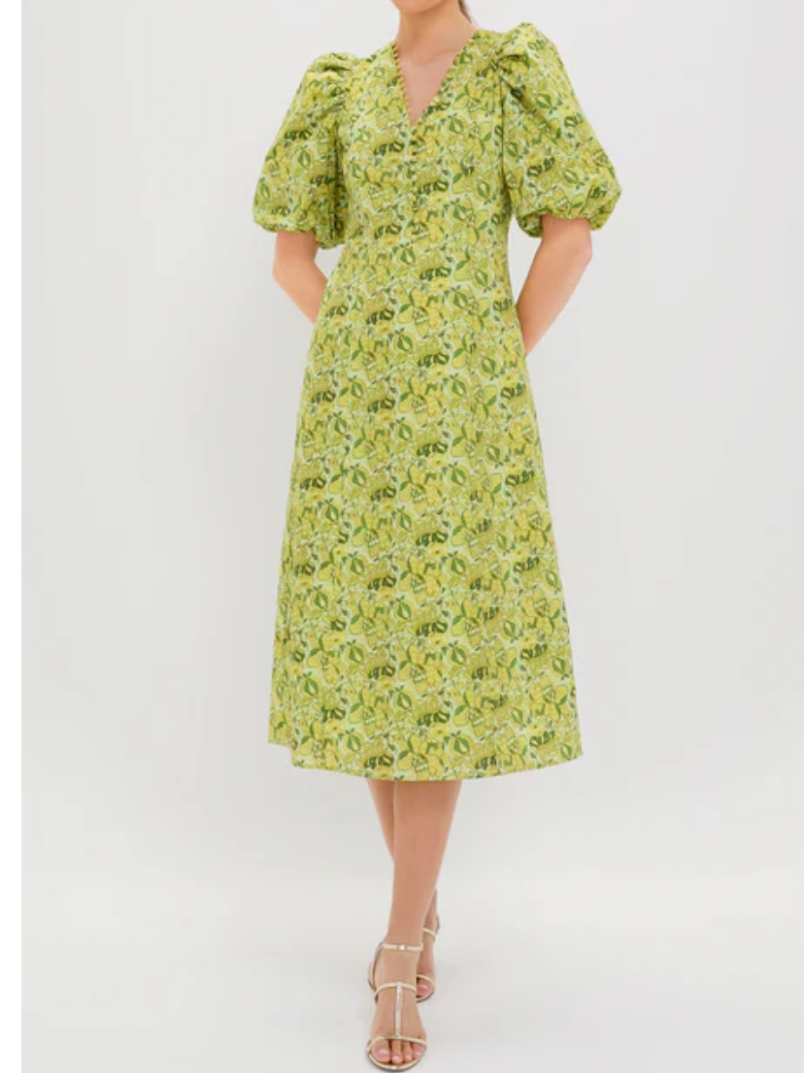 Printed V-Neck Dress