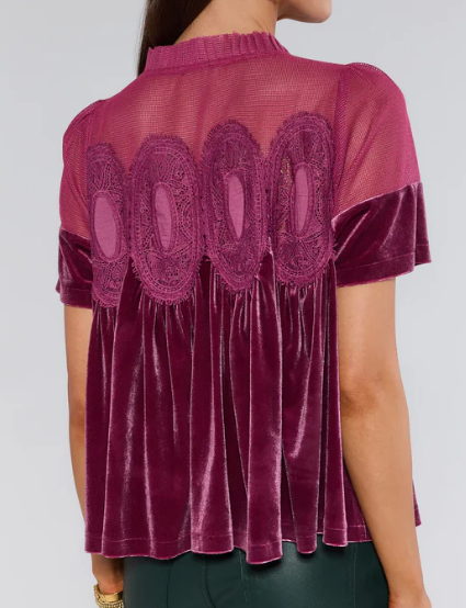 Classy Velvet Lace Holiday Blouse